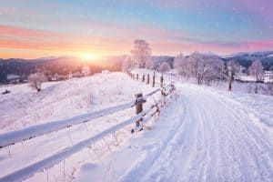 Winter
